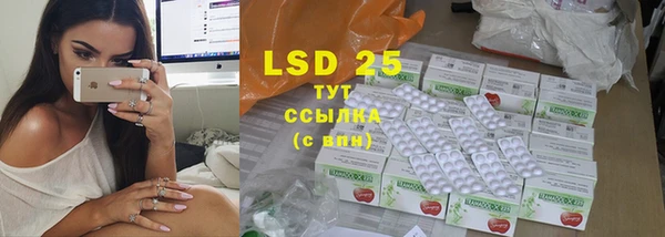 стафф Богородицк