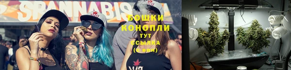 стафф Богородицк