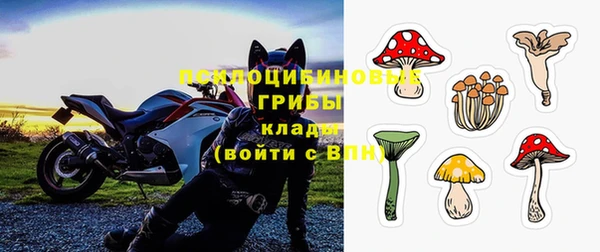 стафф Богородицк