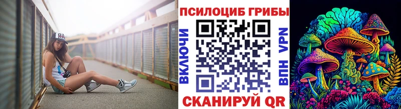 Псилоцибиновые грибы Psilocybine cubensis  Будённовск 