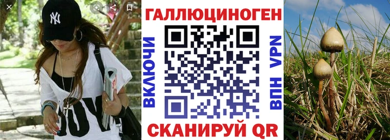 Псилоцибиновые грибы Magic Shrooms Будённовск