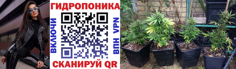kraken ONION  Будённовск  Шишки марихуана гибрид 